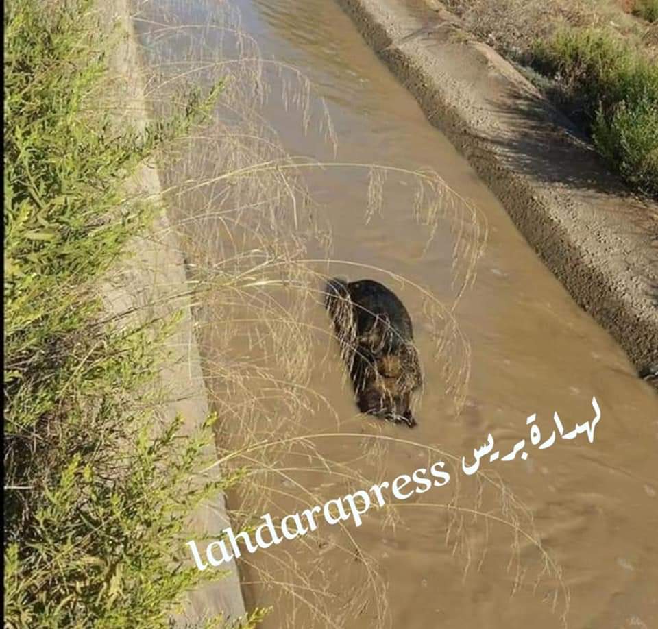 WhatsApp Image 2019 11 26 at 21.45.052 - LAHDARA PRESS